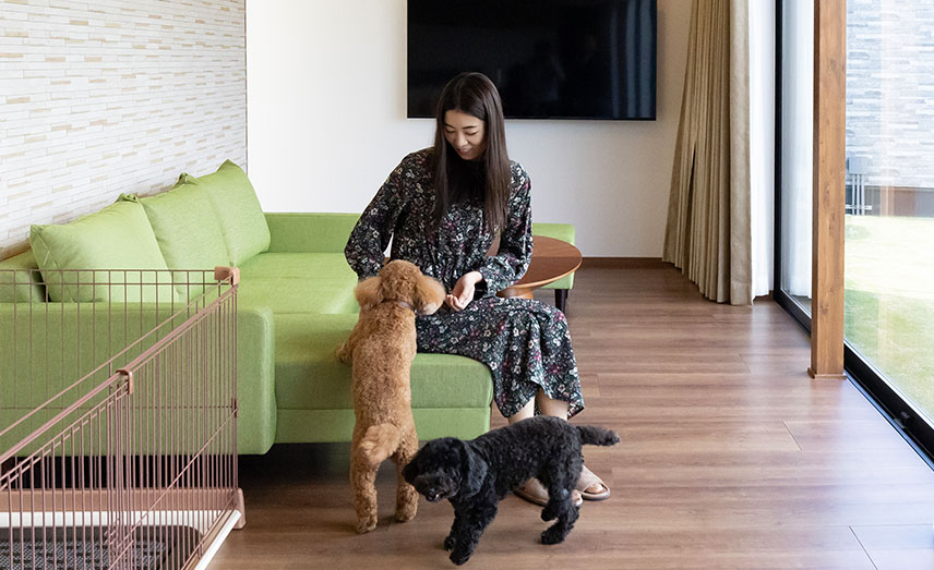 コンセプト01画像