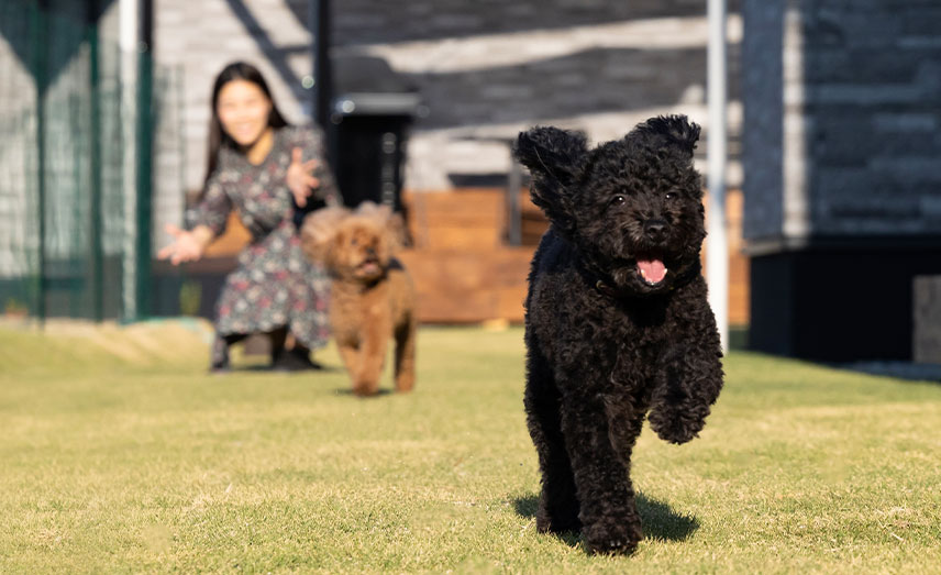 コンセプト02画像