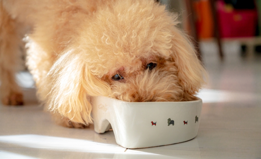 コンセプト03画像